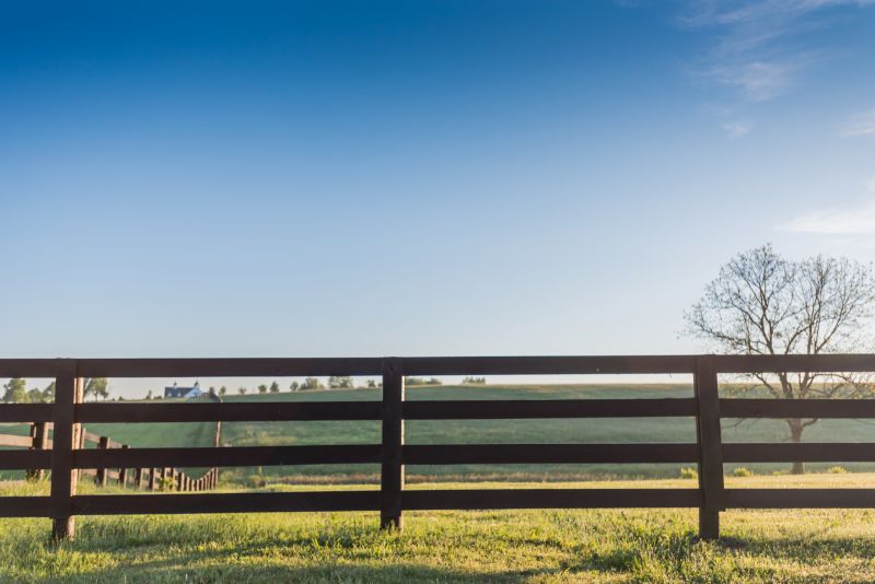 Rustic Fence Installation in Pearland, TX