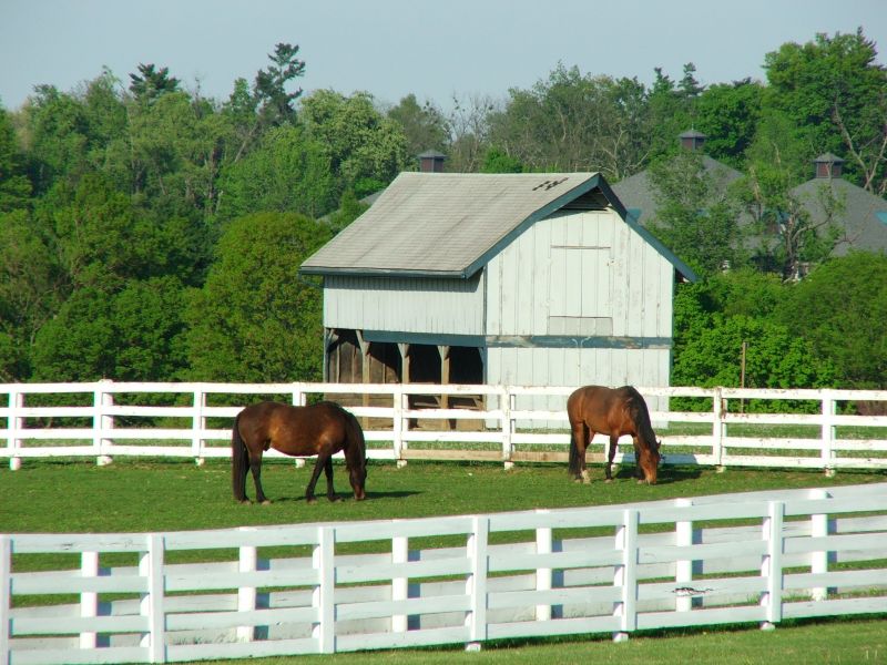 Equine Fence Installation in Roseville, CA
