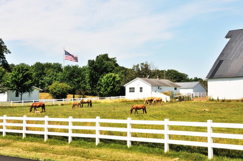 Horse Paddock Installation in Pearland, TX