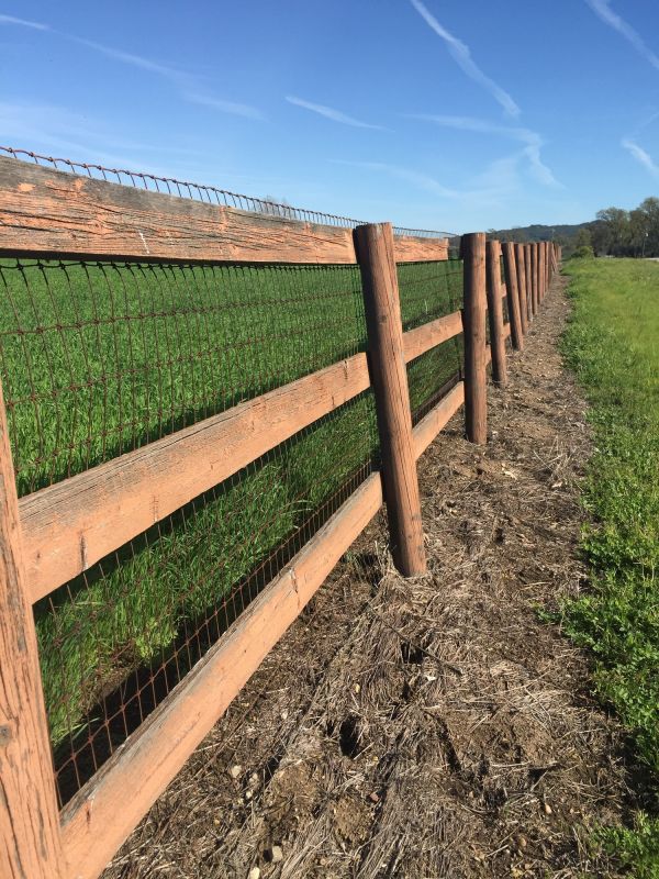 Ranch Fence Replacement in Pearland, TX