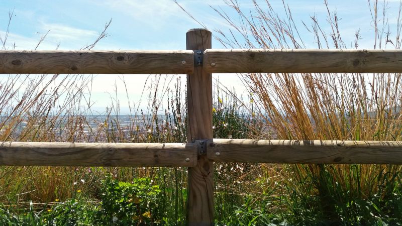Timber Fence Installation in Sacramento, CA